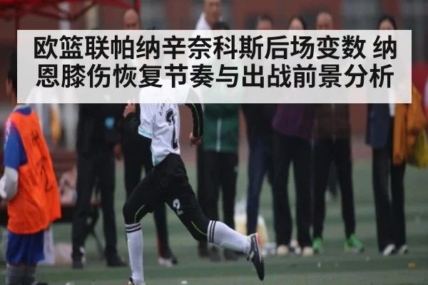 欧篮联帕纳辛奈科斯后场变数 纳恩膝伤恢复节奏与出战前景分析